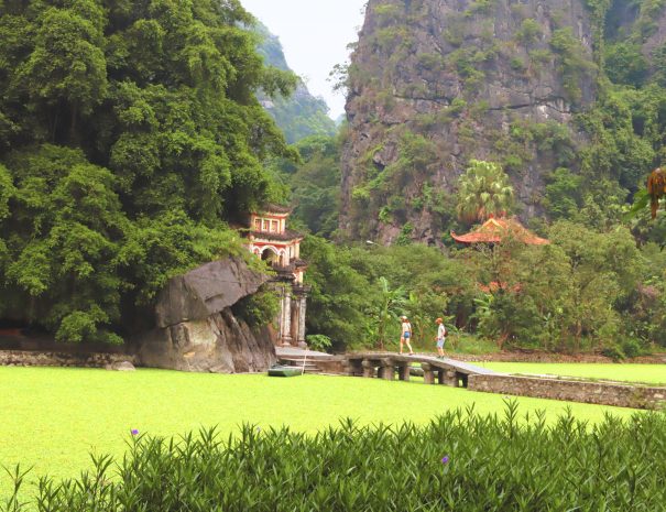 130a6ccb-5d61-4520-ae3d-59ef51e26a46