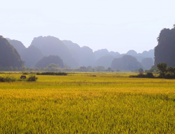 8d0a416a-80e1-42a4-b1c4-0e8dbda9226c