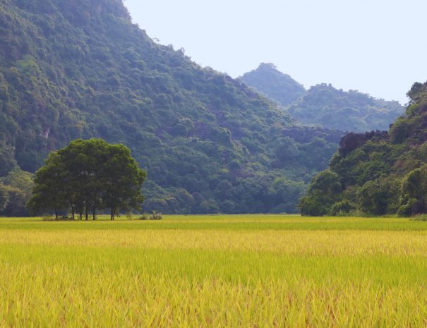 aba8c2d6-9567-4d61-b603-4eb8b3a06b6c