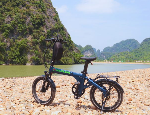 e557efc3-9710-4230-b6ef-bd762a174b65