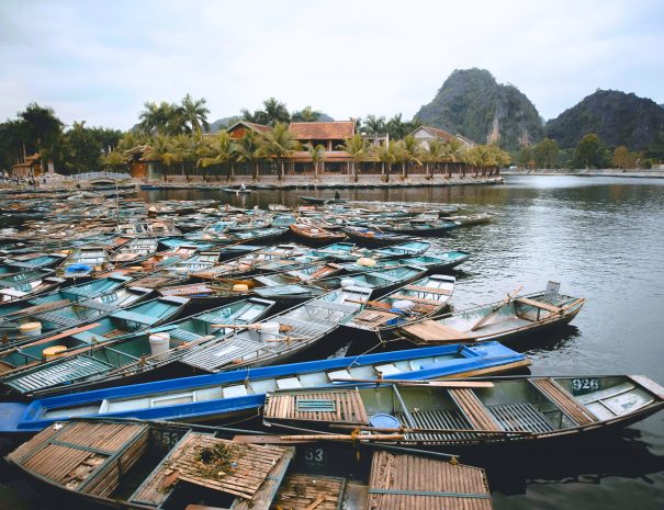 e5e91246-7db9-4cf1-9aee-8c5ebcbec1f9