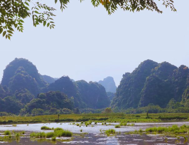 e6390ab6-0a8d-4966-b475-9a5bb0debdea