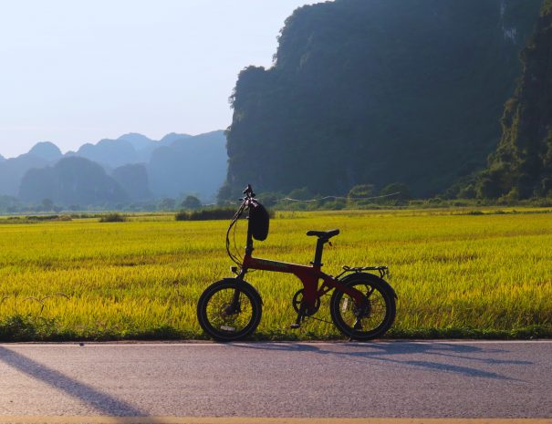 f061963b-0a4c-4fad-8fef-ed3930ef8bd5