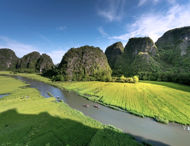 f8654665-7992-4bd2-a398-86de4351b643