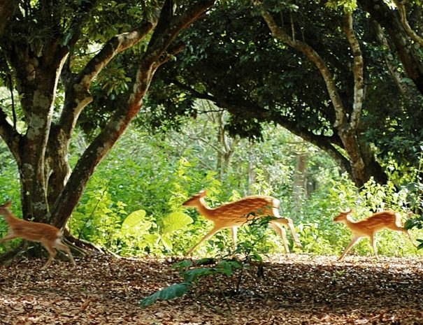 Hội-Du-Lịch-Việt-Nam-moi-66