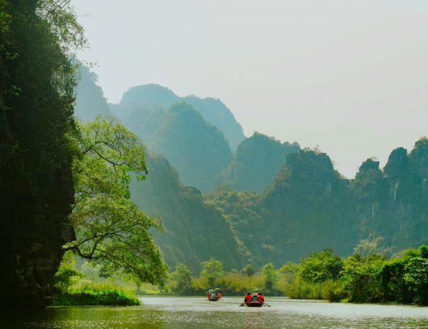 pexels-dongdilac-31449017