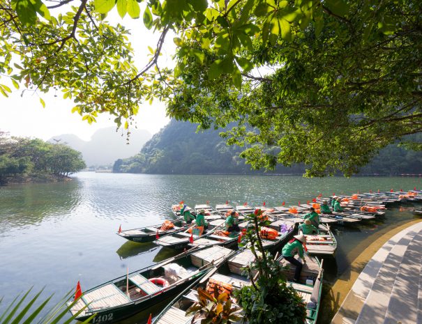 pexels-le-anh-343621737-16969005