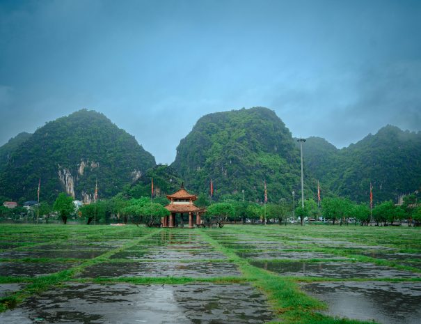 pexels-manh-pham-1175074-33743566