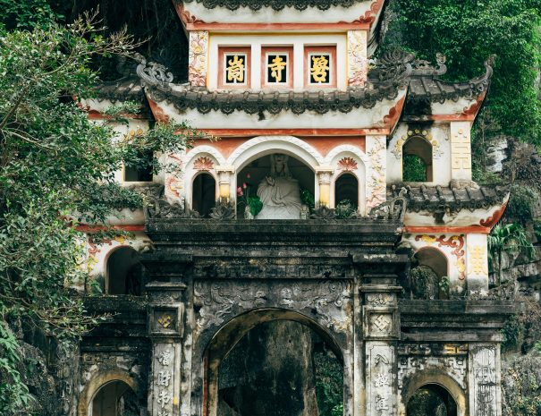 pexels-markus-winkler-1430818-3000978