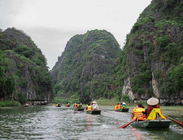 pexels-vietfotos-14919643