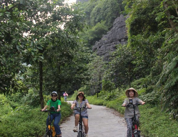 z7129238384515_5569fb9177306bddcd24afb8f04c0406